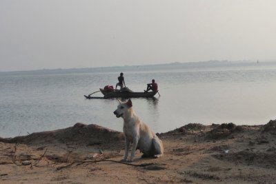 Topa Wewa (Parakrama Samudra - a huge artificial lake)