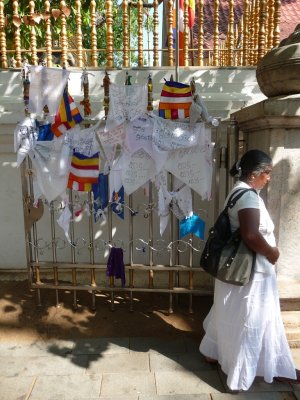 Sri Maha Bodhi - prayer flags