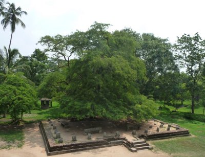Yapahuwa - ruins