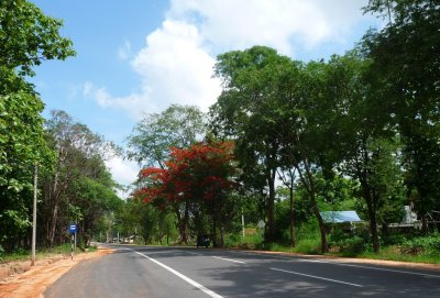 Road north from Kandy
