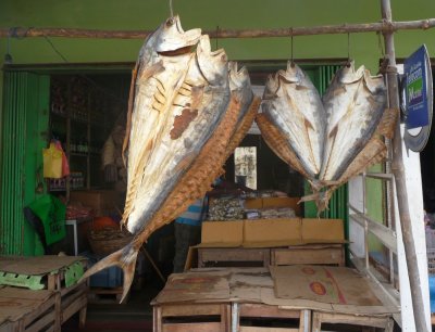 Dried fish for sale, Jaffna