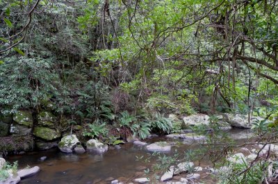 Tarra River