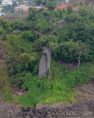 Grenada