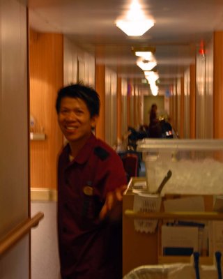 Cabin Steward
