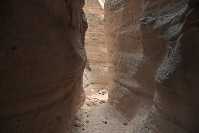 Back through the Slot