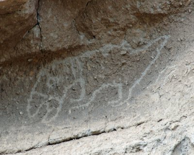 'Horse' rock drawing