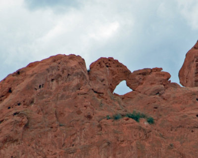 Kissing Camels