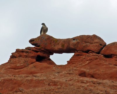 Garden of the Gods