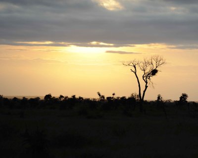 Sunset-010213-Kruger National Park, South Africa-#3852.jpg