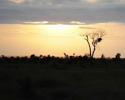 Sunset-010213-Kruger National Park, South Africa-#3859.jpg