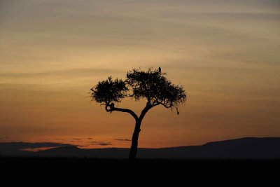 Sunrise-011313-Maasai Mara National Reserve, Kenya-#0077.jpg