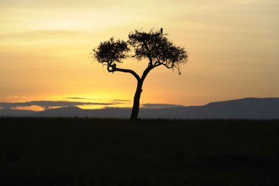 Sunrise-011313-Maasai Mara National Reserve, Kenya-#0100.jpg