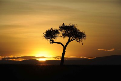 Sunrise-011313-Maasai Mara National Reserve, Kenya-#0122.jpg