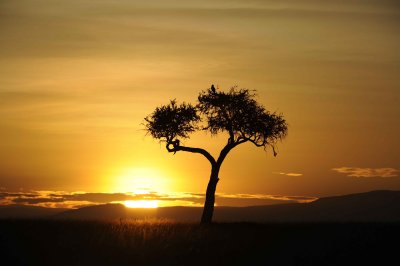 Sunrise-011313-Maasai Mara National Reserve, Kenya-#0156.jpg