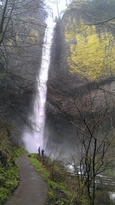 IMAG0444.jpg