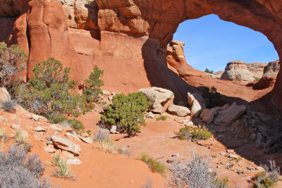 Delicate Arches National Park
