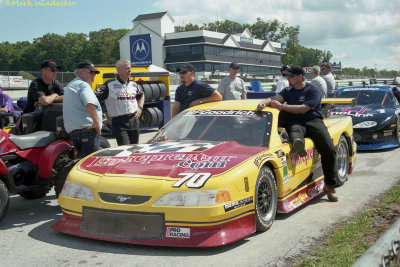 Mustang Peter Shea