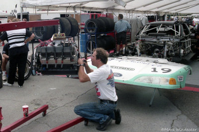 Mustang  Steve Pelke