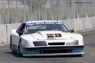13th Ed Hinchcliff Mustang