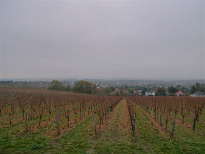 20121104