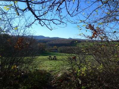 20121108