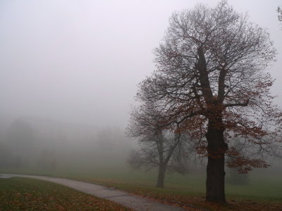 20121119