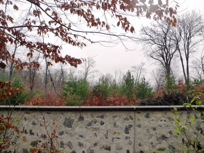 20121123
