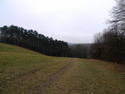 g2/40/706240/3/147510943.5cXsCCm0.jpg