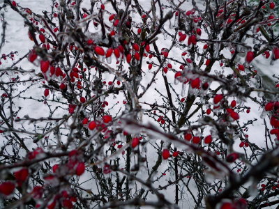 20121223
