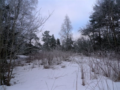 20130202