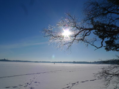 20130225