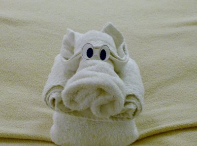 And one last towel animal.....   (oink oink)