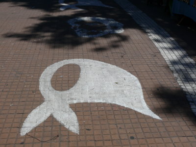 The paintings on the sidewalk around the May Pyramid, a symbol of the Madres de Plaza de Mayo 