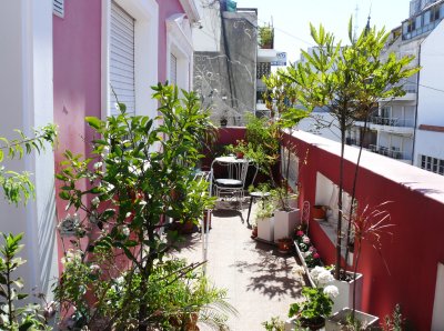 The garden on the balcony