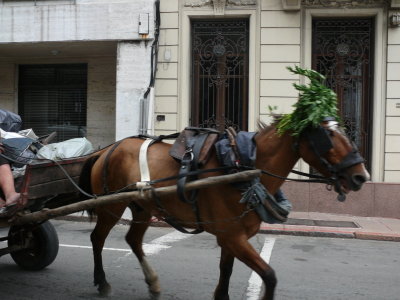 This didn't look like a tourist attraction, I think it was someone's real mode of transport