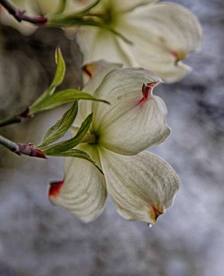 _MG_9298_HDR.jpg