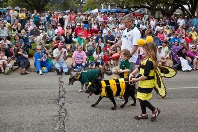 The Bee, the Butterfly, and the Football Team