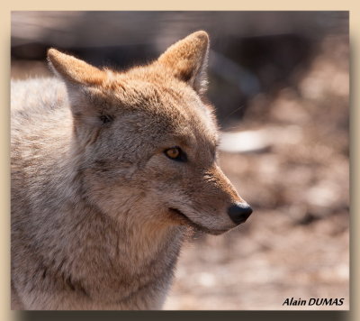 Parc Omega Park