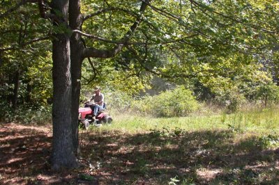 Scott mowing next to the pines