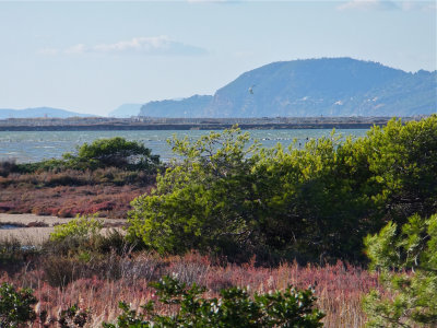 Les salins de Giens