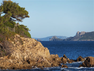 DSCF3261.jpg