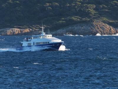 DSCF3314.jpg
