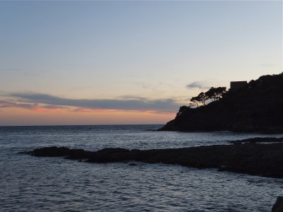 DSCF3371.jpg