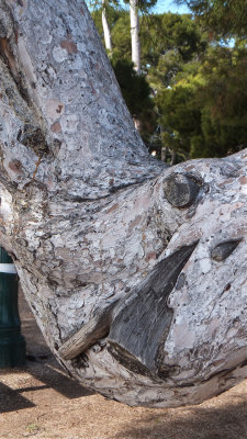 DSCF3446.jpg