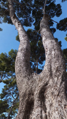 DSCF3448.jpg