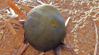 DSCF3458.jpg