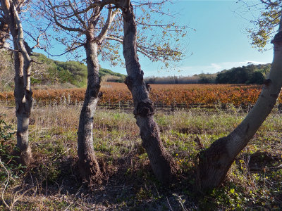 DSCF3694.jpg