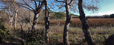 DSCF3695.jpg