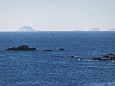 DSCF3764.jpg