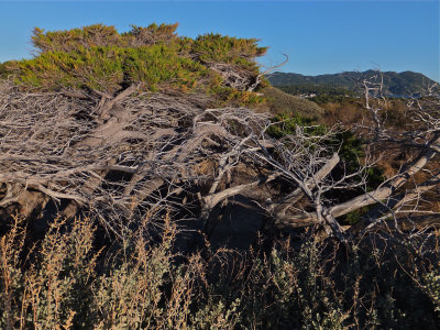 DSCF3778.jpg